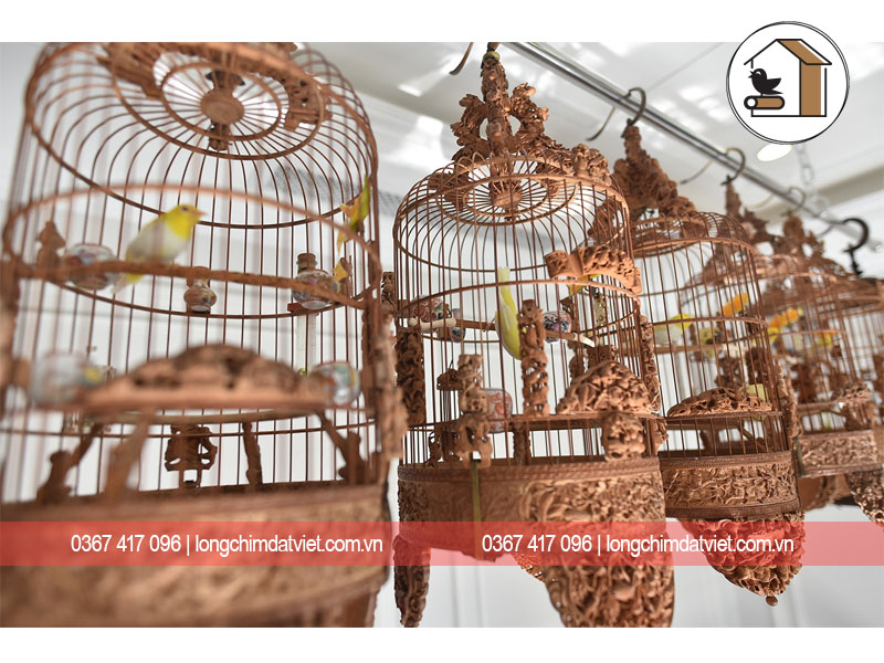 Sài Gòn: - Mẫu Chuồng Nuôi Chim Cảnh Đẹp | Lamchame.com - Nguồn thông tin  tin cậy dành cho cha mẹ